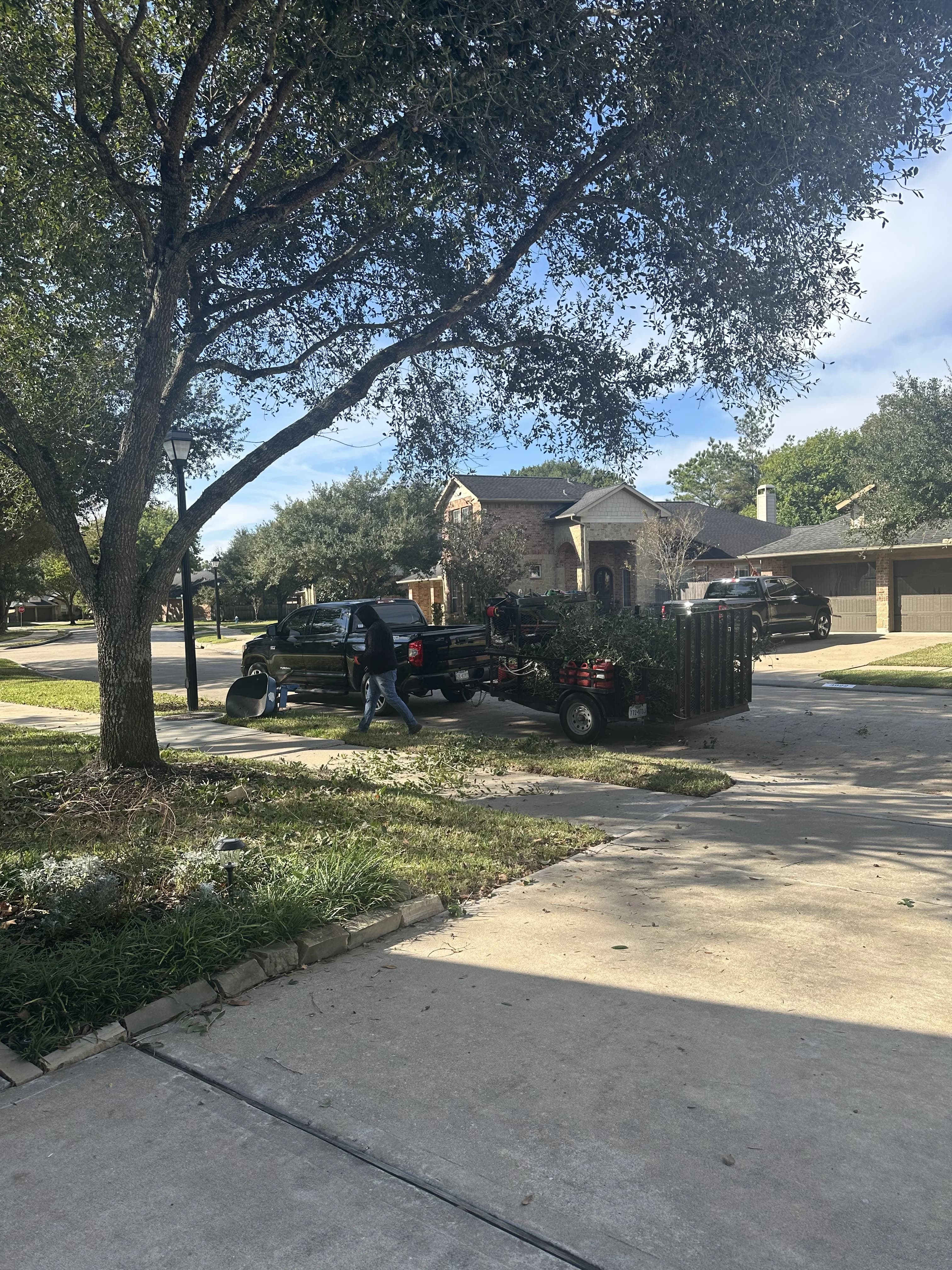 Lawn renovation in Cinco Ranch