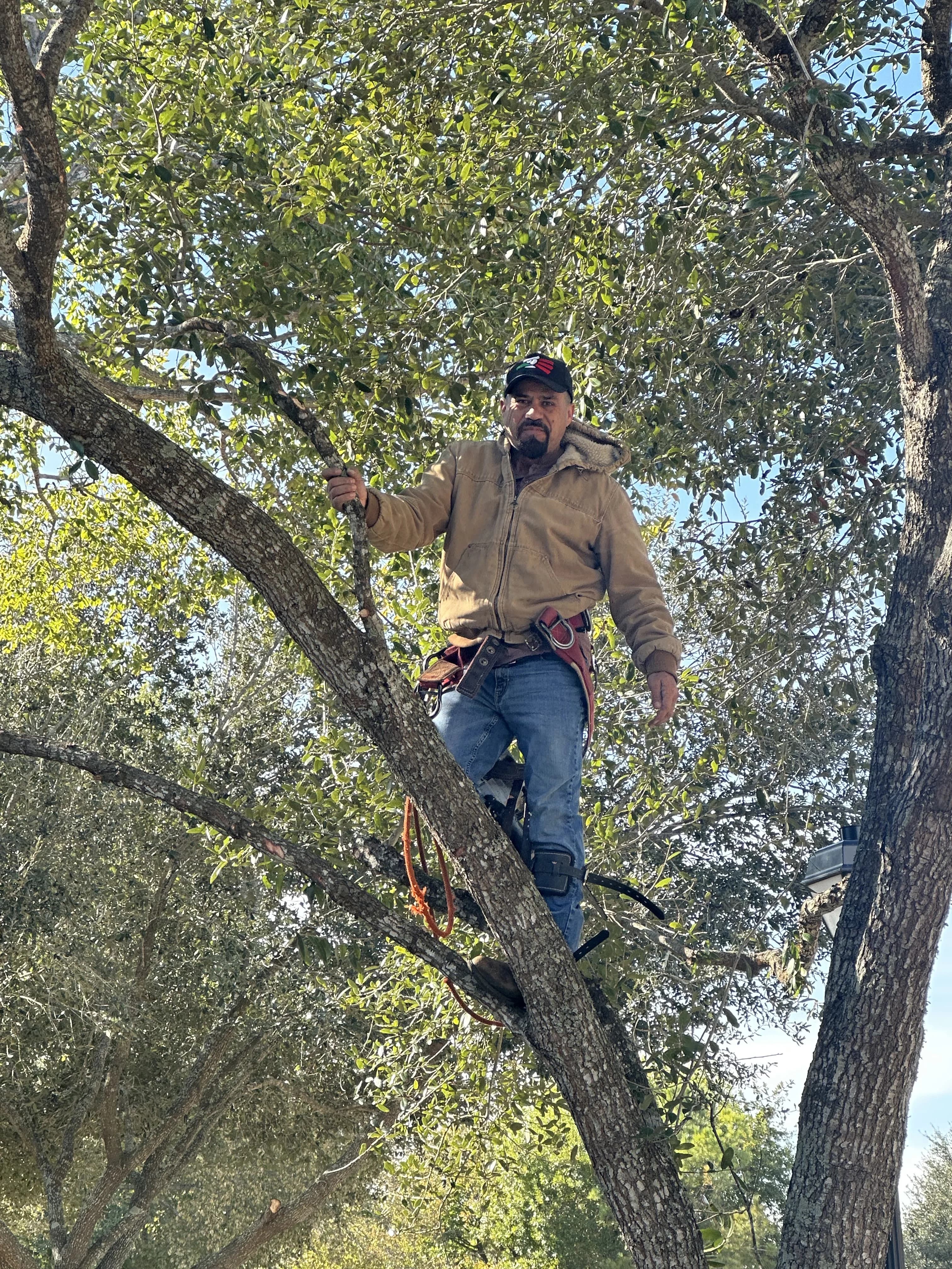 Moreno Landscaping project