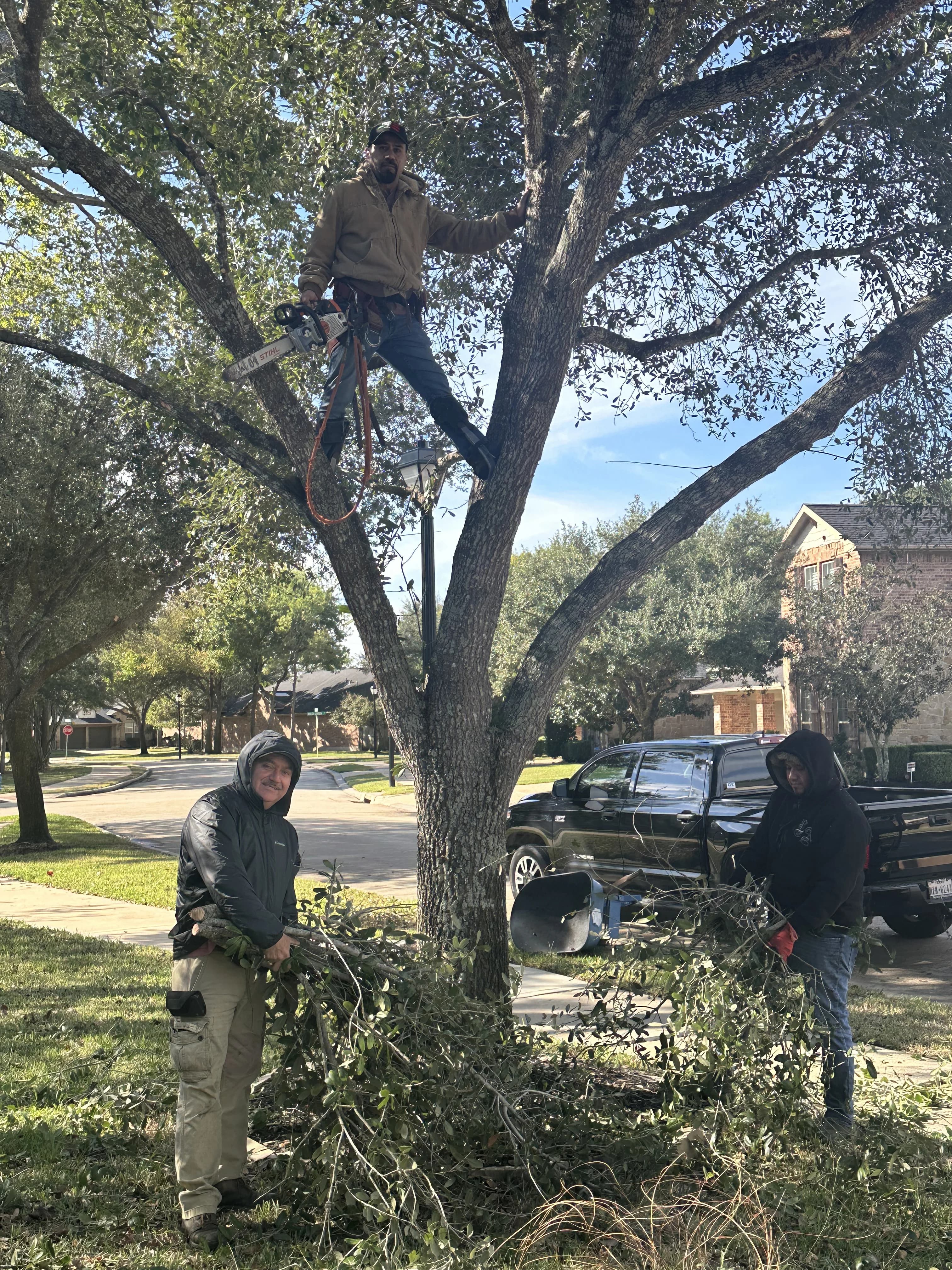 Moreno Landscaping project