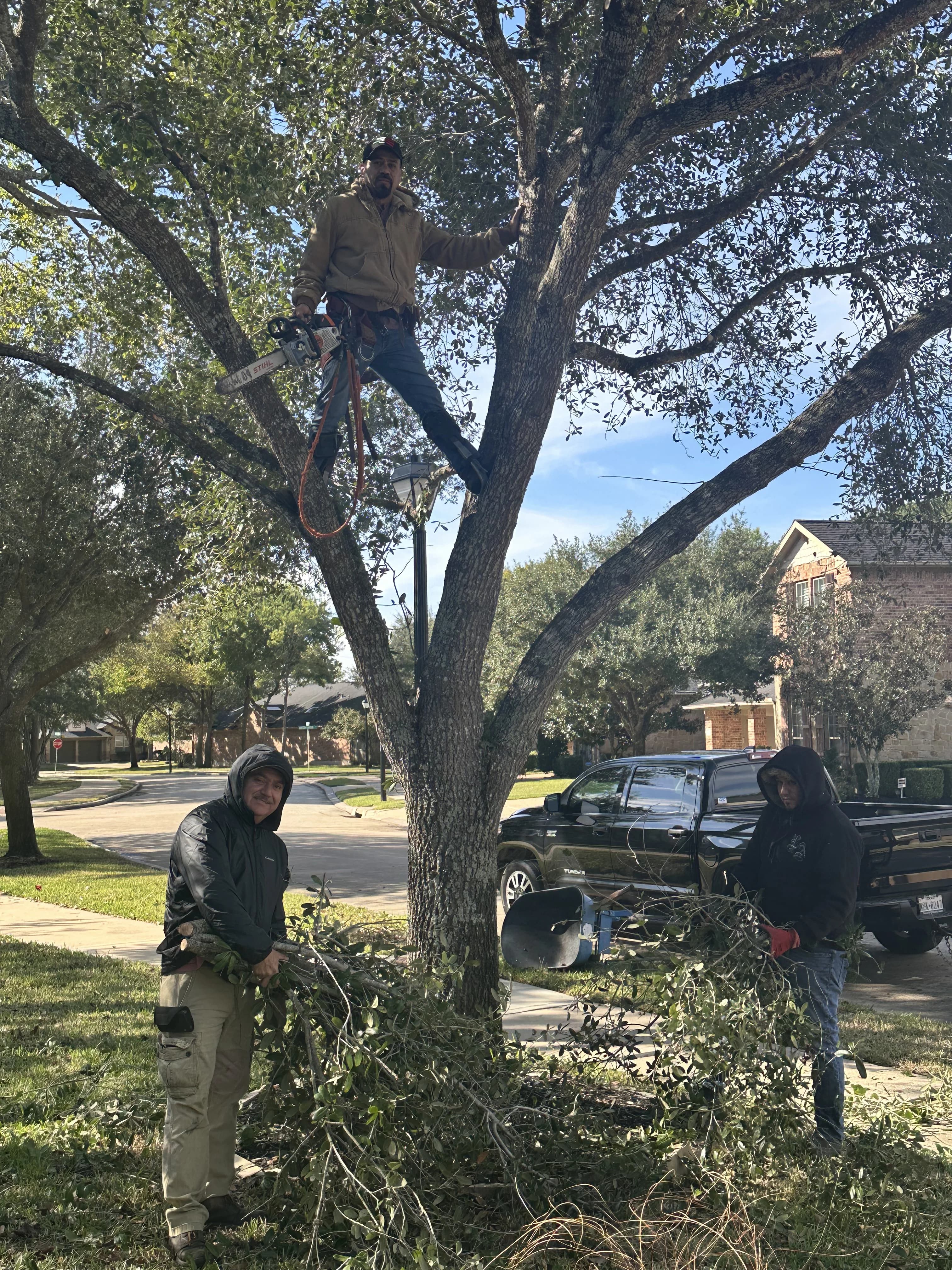 Moreno Landscaping project