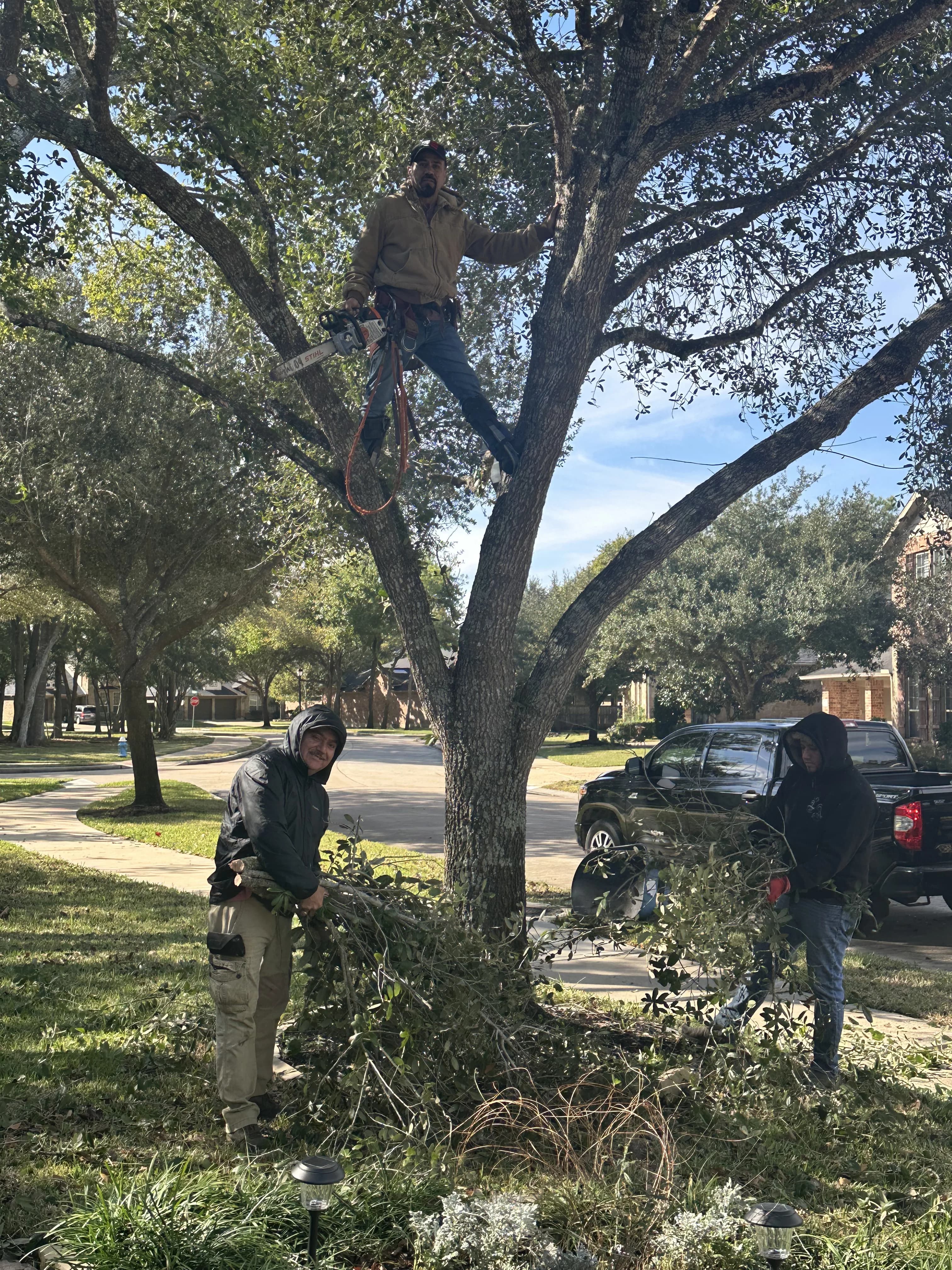 Moreno Landscaping project